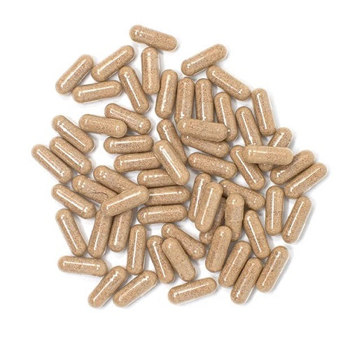 Benefits Of Maitake Mushroom Capsules - Wholesale B2B Bulk Suppliers