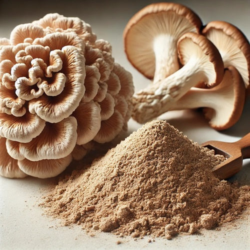 Benefits of Maitake Mushroom Extract Powder - Wholesale B2B Bulk Suppliers
