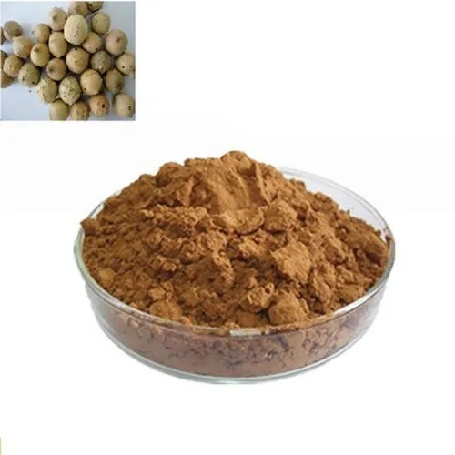 Benifits Of Majuphal Extract Powder - Wholesale B2B Bulk Suppliers in USA