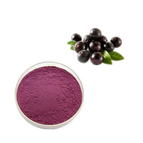 Benifits Of Maqui Berry Extract Powder - Wholesale B2B Bulk Suppliers in USA