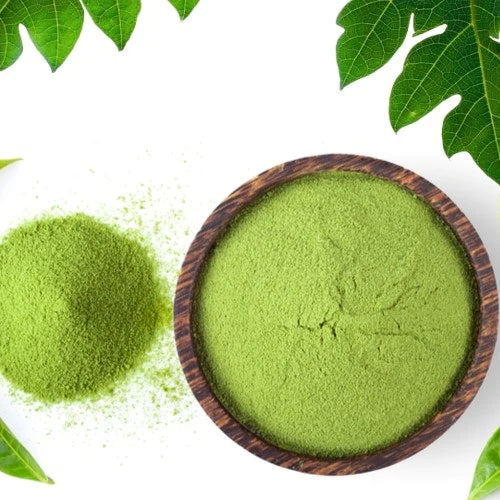 Papaya Leaf Powder Benefits: Top Benefits of Papaya Leaf Powder
