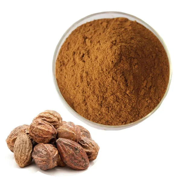 Benefits of Haritaki Powder - Wholesale B2B Bulk Suppliers