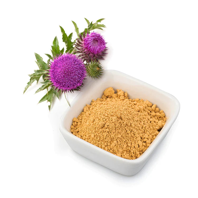 Benefits of Milk Thistle Powder - Wholesale B2B Bulk Suppliers