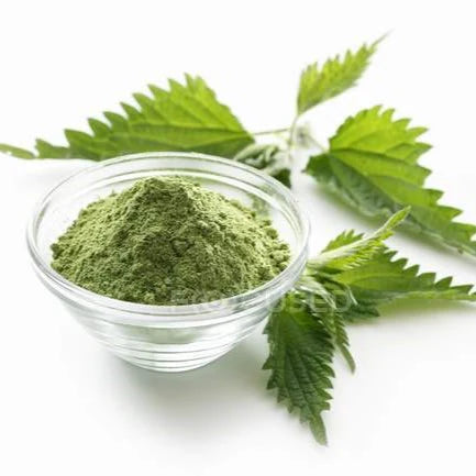 Nettle Leaf Powder Benefits: Top Benefits of Nettle Leaf Powder