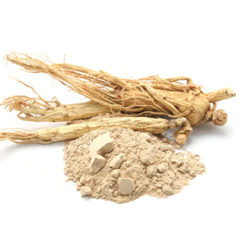 Shatavari Root Powder Benefits: Top Benefits of Shatavari Root Powder