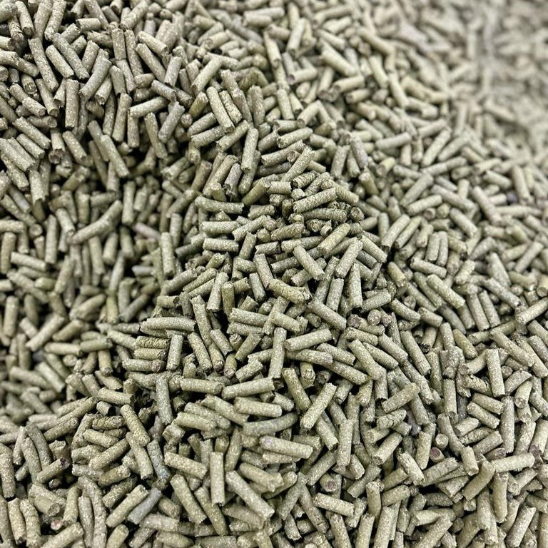 Benefits of Green Raw Papaya Pellets for Horse Feed - Wholesale B2B Bulk Suppliers in Europe