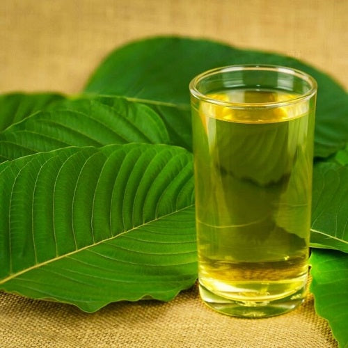 Benifits Of Mitragyna Speciosa Extract Liquid - Wholesale B2B Bulk Suppliers in Europe
