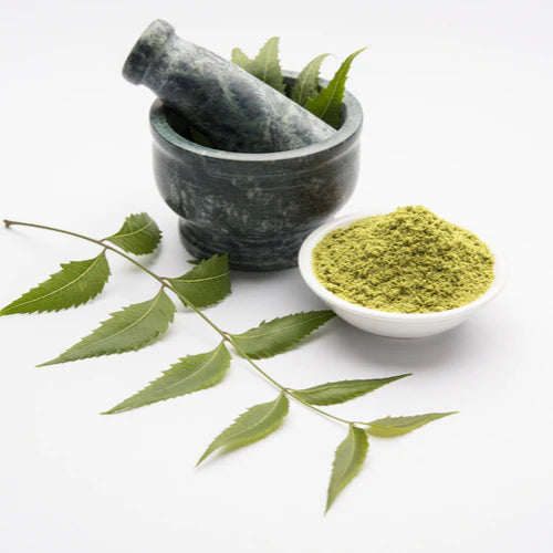 Benefits of Neem Leaf Powder: Nature's Anti-Microbial Powerhouse