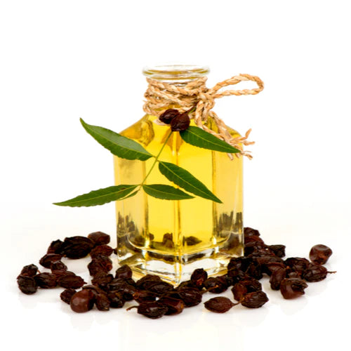Benefits of using Neem oil for Oral Health