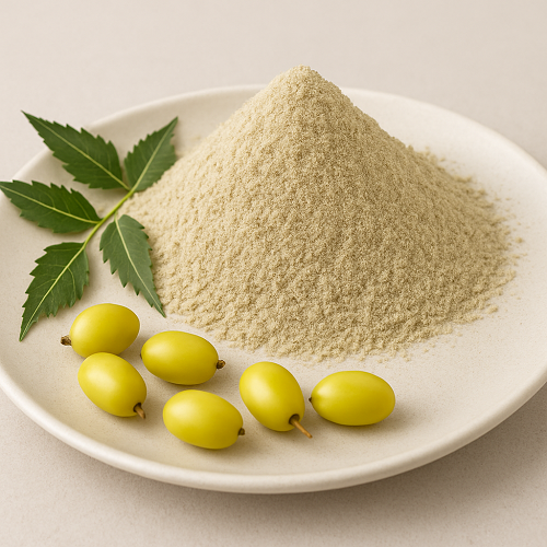 Benefits Of Neem Fruit Powder - Wholesale B2B Bulk Suppliers