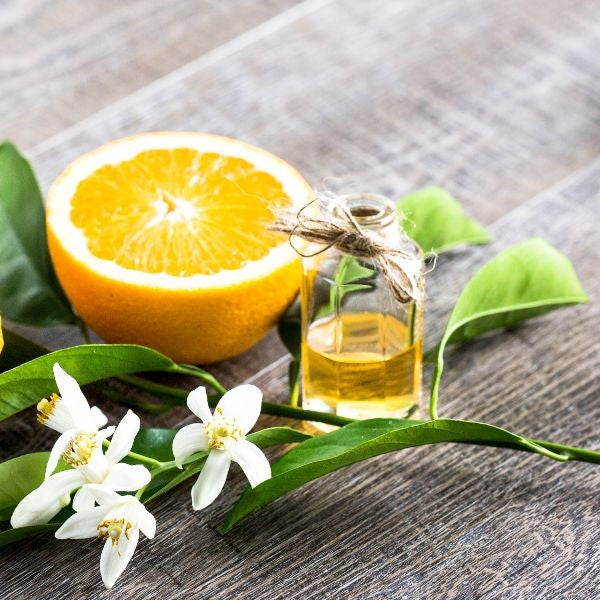 Benefits of Neroli Essential Oil - Wholesale B2B Bulk Suppliers in Europe