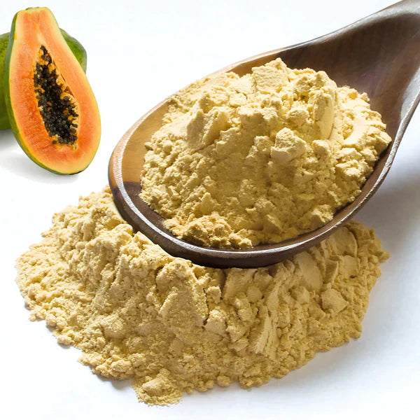 Benefits of Papaya Fruit Powder - Wholesale B2B Bulk Suppliers in USA