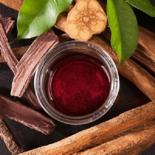 Benifits Of Psychotria Viridis Liquid Extract - Wholesale B2B Bulk Suppliers in Europe