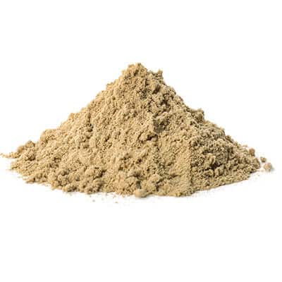 Benifits Of Pumpkin Seed Extract Powder 10:1 - Wholesale B2B Bulk Suppliers in USA