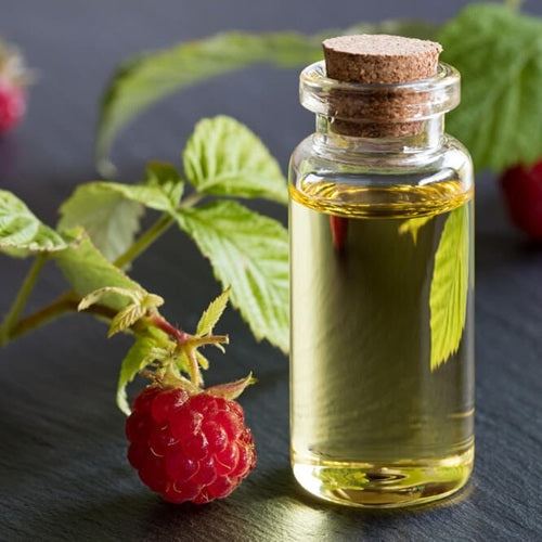 Benefits of Raspberry Seed Oil - Wholesale B2B Bulk Suppliers in Europe