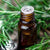 Benefits of Rosemary Essential Oil - Wholesale B2B Bulk Suppliers in USA