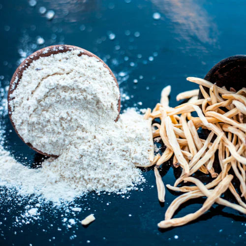 Benefits of Safed Musli Powder - Wholesale B2B Bulk Suppliers