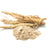 Benefits of Shatavari Powder - Wholesale B2B Bulk Suppliers in USA