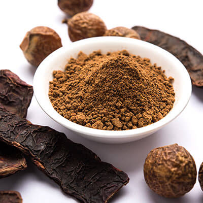 Benefits of Shikakai Powder - Wholesale B2B Bulk Suppliers