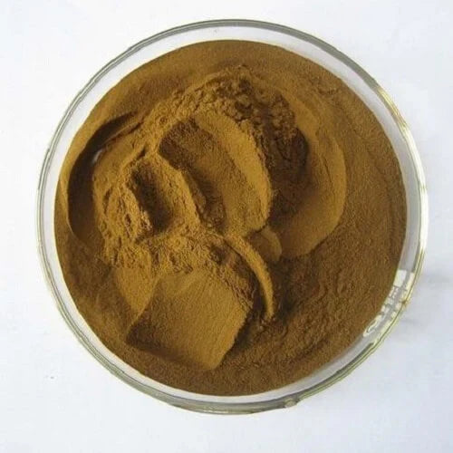 Benefits of Shilajit Extract Powder - Wholesale B2B Bulk Suppliers