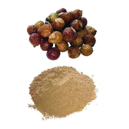Benifits Of Soapnut Extract Powder - Wholesale B2B Bulk Suppliers in USA