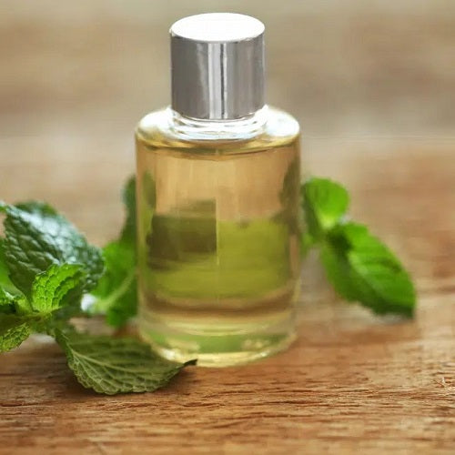 Benefits of  Spearmint Essential Oil - Wholesale B2B Bulk Suppliers in Europe