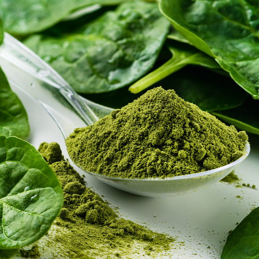 Benefits of Spinach Juice Powder - Wholesale B2B Bulk Suppliers in Europe