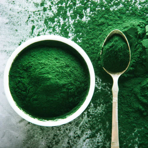 Benefits of Spirulina Powder - Wholesale B2B Bulk Suppliers in Europe