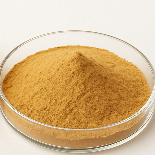 Benefits of Tremella Mushroom Extract Powder - Wholesale B2B Bulk Suppliers in USA