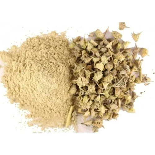 Benifits Of Tribulus Extract Powder - Wholesale B2B Bulk Suppliers in Europe
