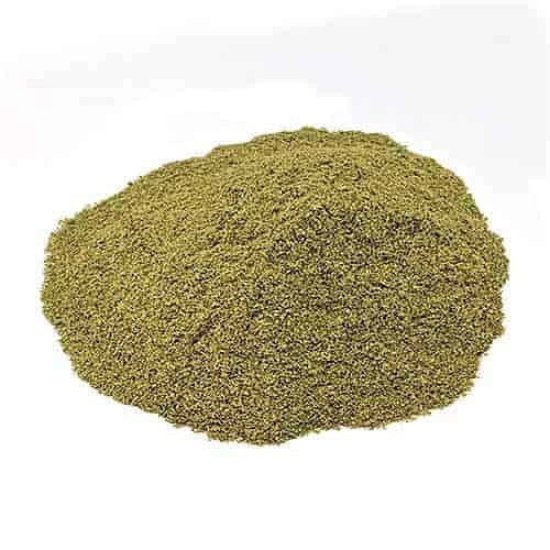 Benefits of Mimosa Pudica Powder - Wholesale B2B Bulk Suppliers