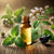 Benefits of Vervain Essential Oil - Wholesale B2B Bulk Suppliers in Europe
