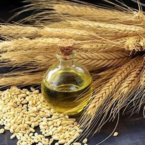Benefits of Wheat Germ Oil - Wholesale B2B Bulk Suppliers in USA