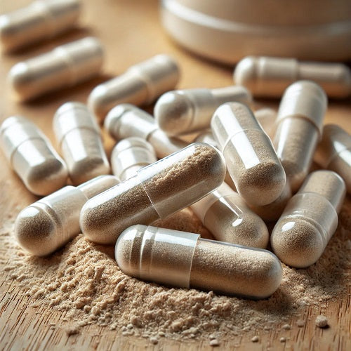 Benefits Of White Oak Capsules - Wholesale B2B Bulk Suppliers