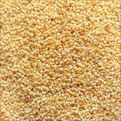 Benefits of White Poppy Seeds - Wholesale B2B Bulk Suppliers in Europe