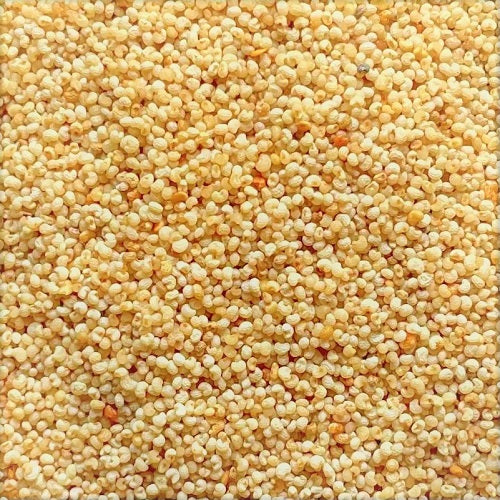 Benefits of White Poppy Seeds - Wholesale B2B Bulk Suppliers in USA