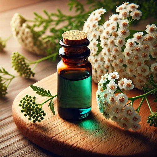 Benefits of Yarrow Essential Oil - Wholesale B2B Bulk Suppliers in USA