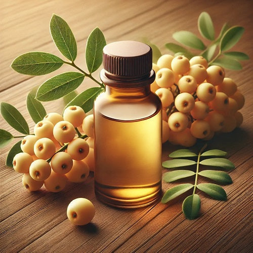 Benefits Of Zing Xanthoxylum Essential Oil - Wholesale B2B Bulk Suppliers