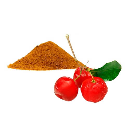 Benefits of Acerola Extract Powder - Wholesale B2B Bulk Suppliers