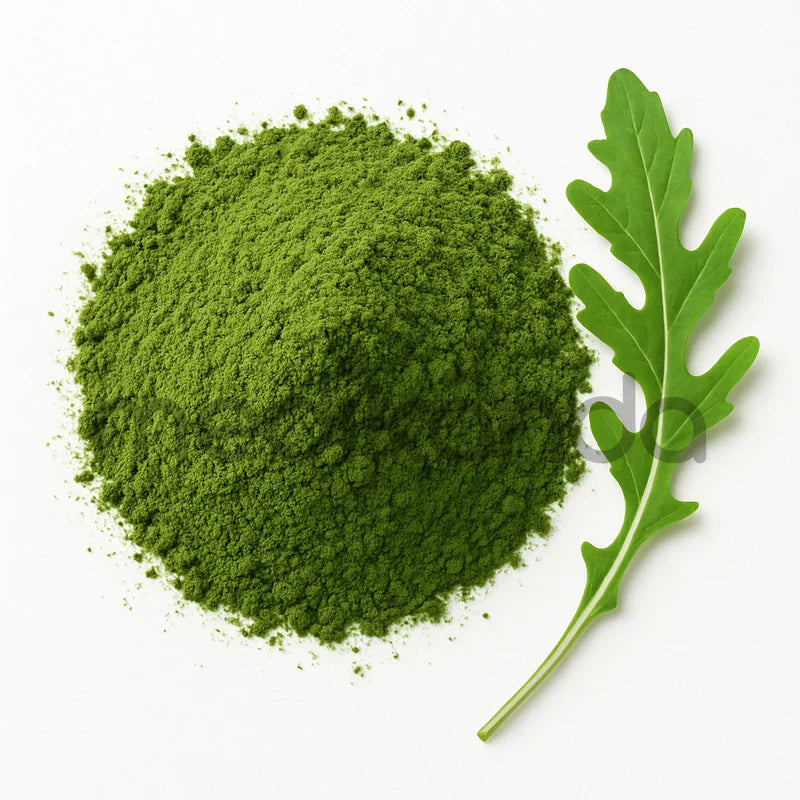 Best Arugula Powder Supplement in the U.S. Market – Available at Medikonda.com