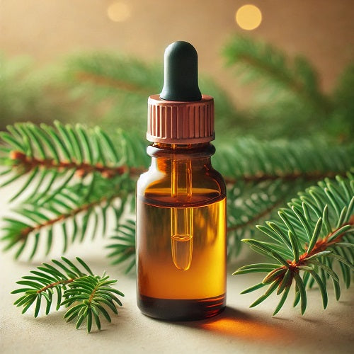 Benefits of Balsam Fir Essential Oil - Wholesale B2B Bulk Suppliers
