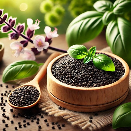 Benefits of Basil Seeds - Wholesale B2B Bulk Suppliers