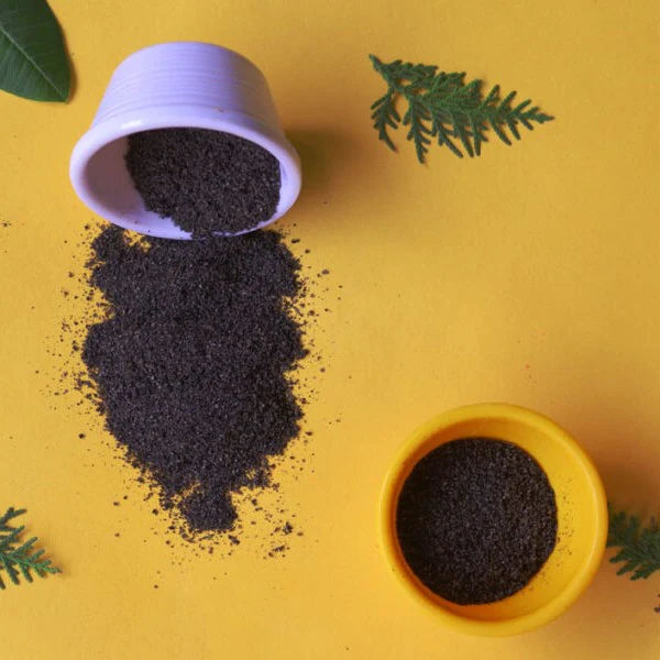Black Cumin Seed Powder Benefits: Top Benefits of Black Cumin Seed Powder
