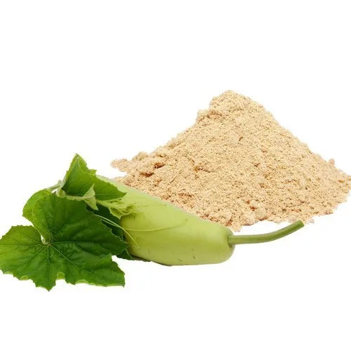 Benefits of Bottle Gourd Powder - Wholesale B2B Bulk Suppliers