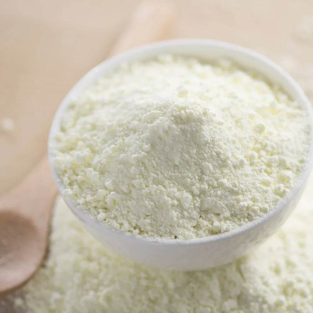 Benefits of Full Cream Camel Milk Powder - Wholesale B2B Bulk Suppliers in USA