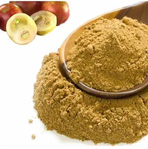 Benefits of Camu-Camu Extract Powder - Wholesale B2B Bulk Suppliers in Europe
