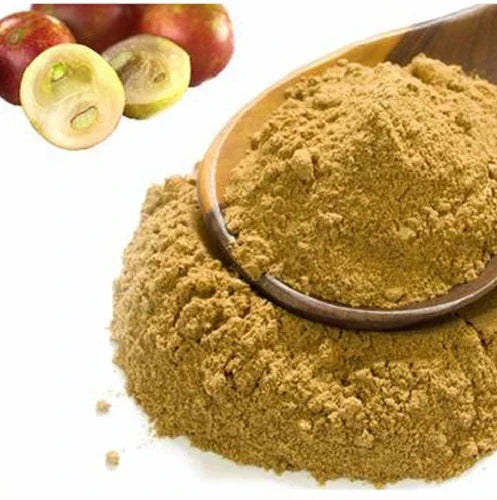 Benefits of Camu Camu Extract Powder - Wholesale B2B Bulk Suppliers
