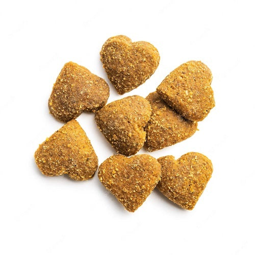 Benefits of Moringa Soft Chews for Dogs and Cats - Wholesale B2B Bulk Suppliers in USA