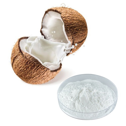 Benefits of Coconut Fruit Extract Powder - Wholesale B2B Bulk Suppliers in USA