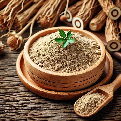 Benefits of Codonopsis pilosula Powder - Wholesale B2B Bulk Suppliers